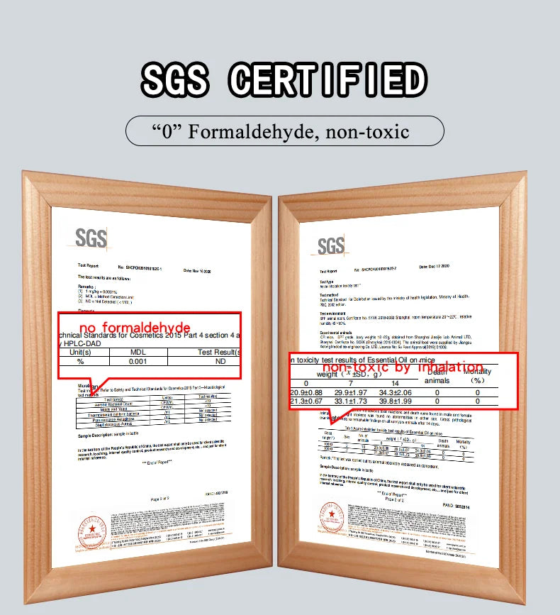 Experience Tranquility with Our Natural Plant Extracted Water-Soluble Essential Oils for Diffusers and Humidifiers